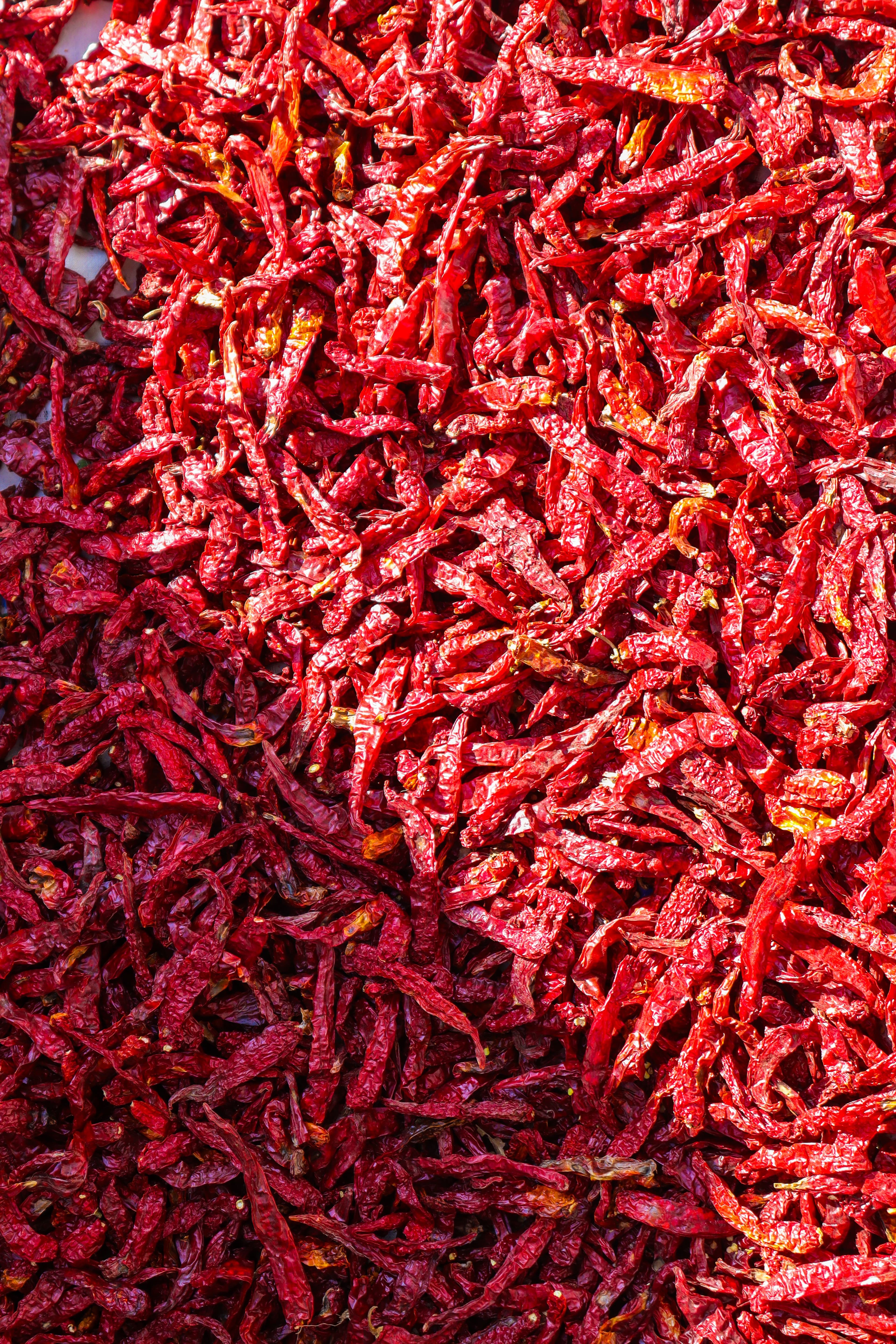 Chilli - image 1