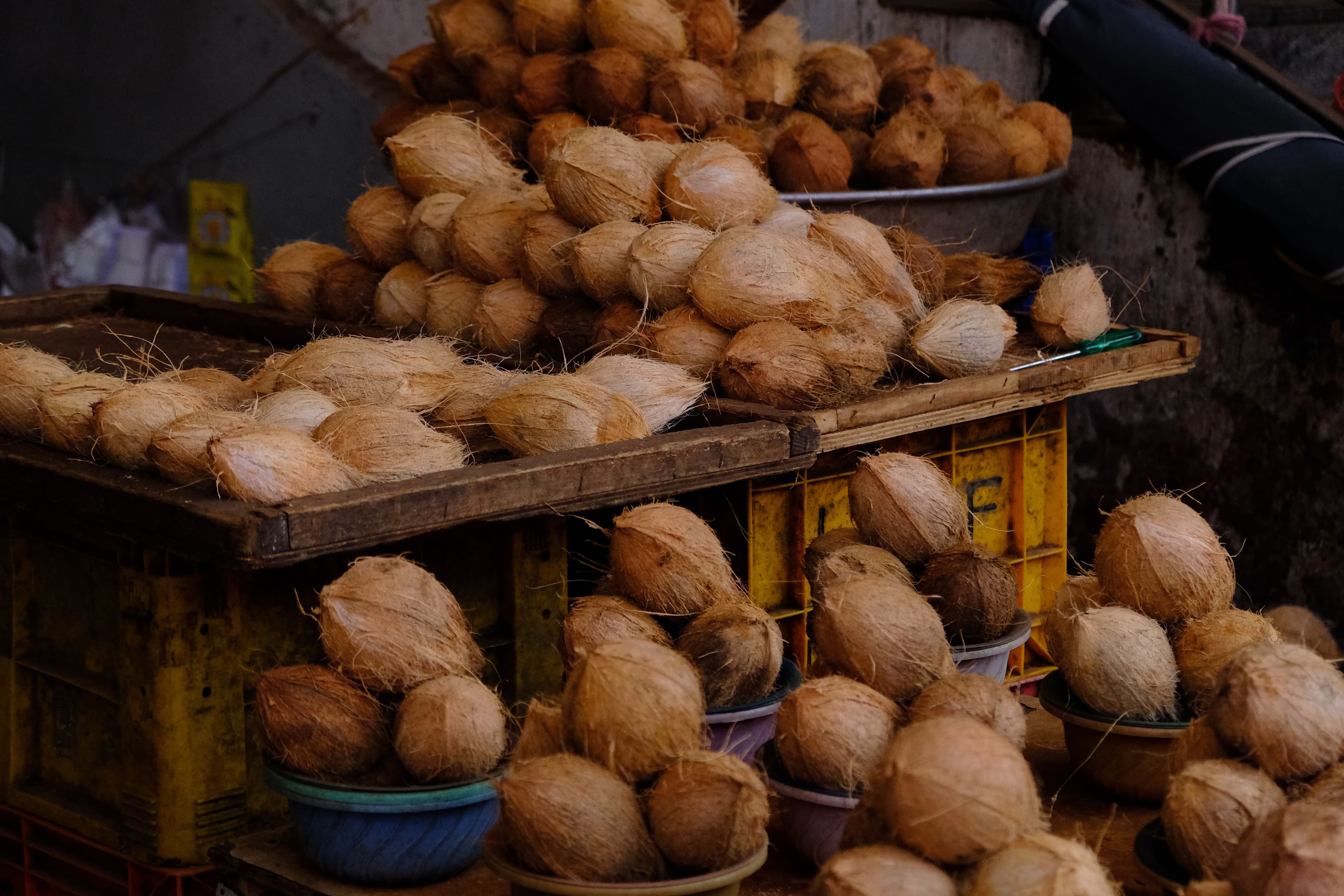 Coconut - image 1
