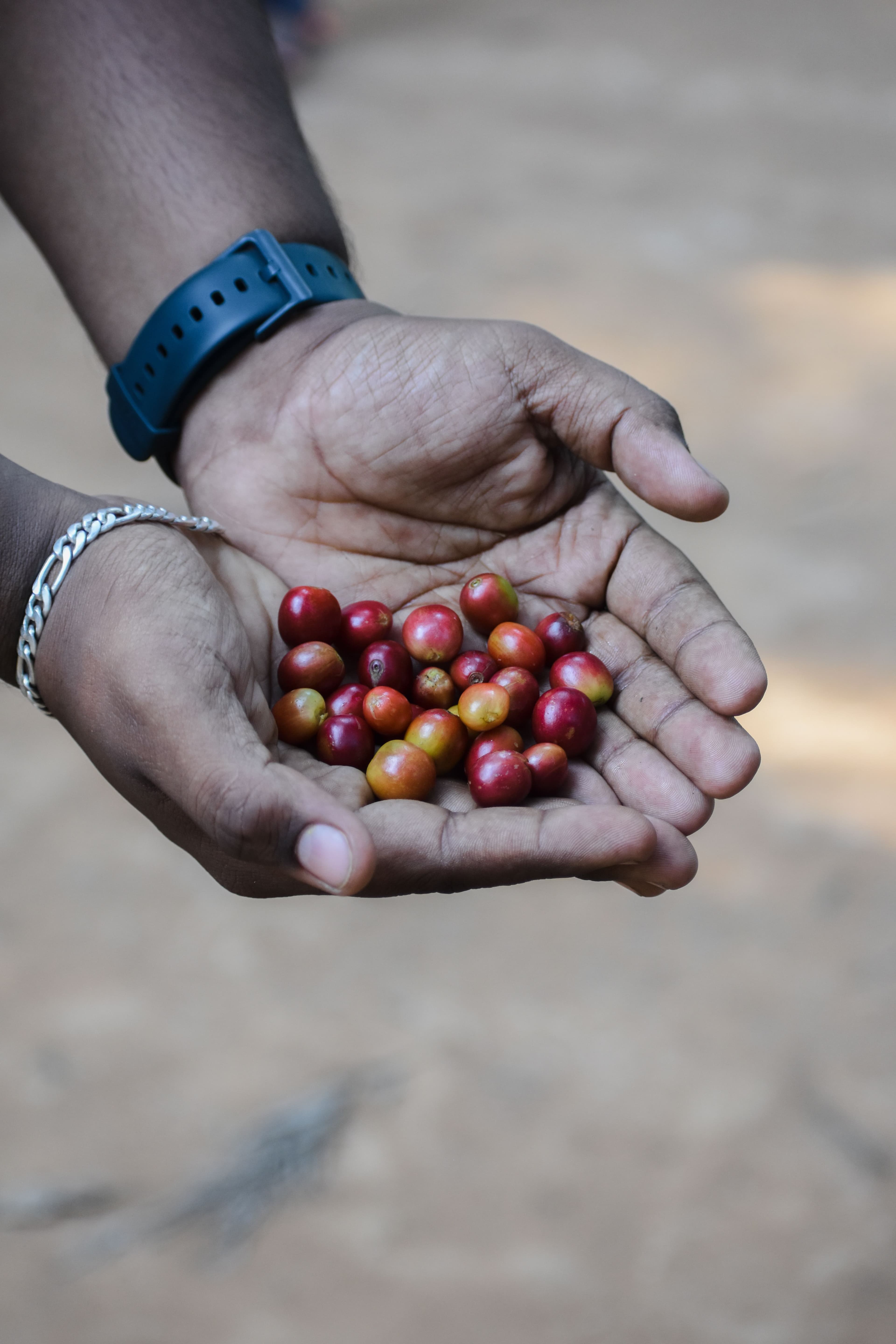 Coffee - image 1